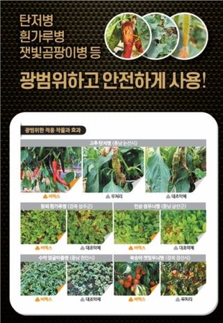 대산농사대장님의 고추 · 비료•농약 작성글 사진