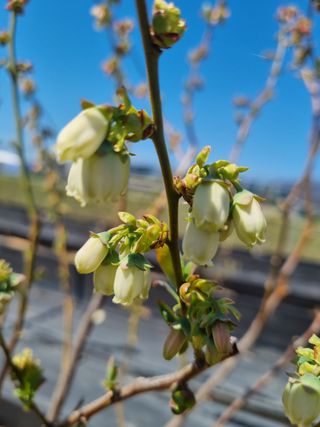 김동만님의 자유주제 · 자유게시판 작성글 사진