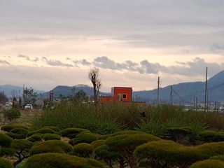 MSG0074님의 자유주제 · 자유게시판 작성글 사진