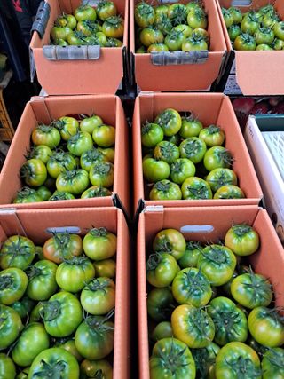 김기한님의 자유주제 · 자유게시판 작성글 사진