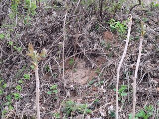 MSG0074님의 자유주제 · 자유게시판 작성글 사진