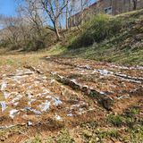 팜모닝 자유주제·자유게시판 게시글 이미지