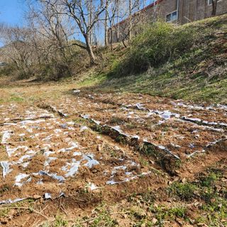 조한솔님의 자유주제 · 자유게시판 작성글 사진