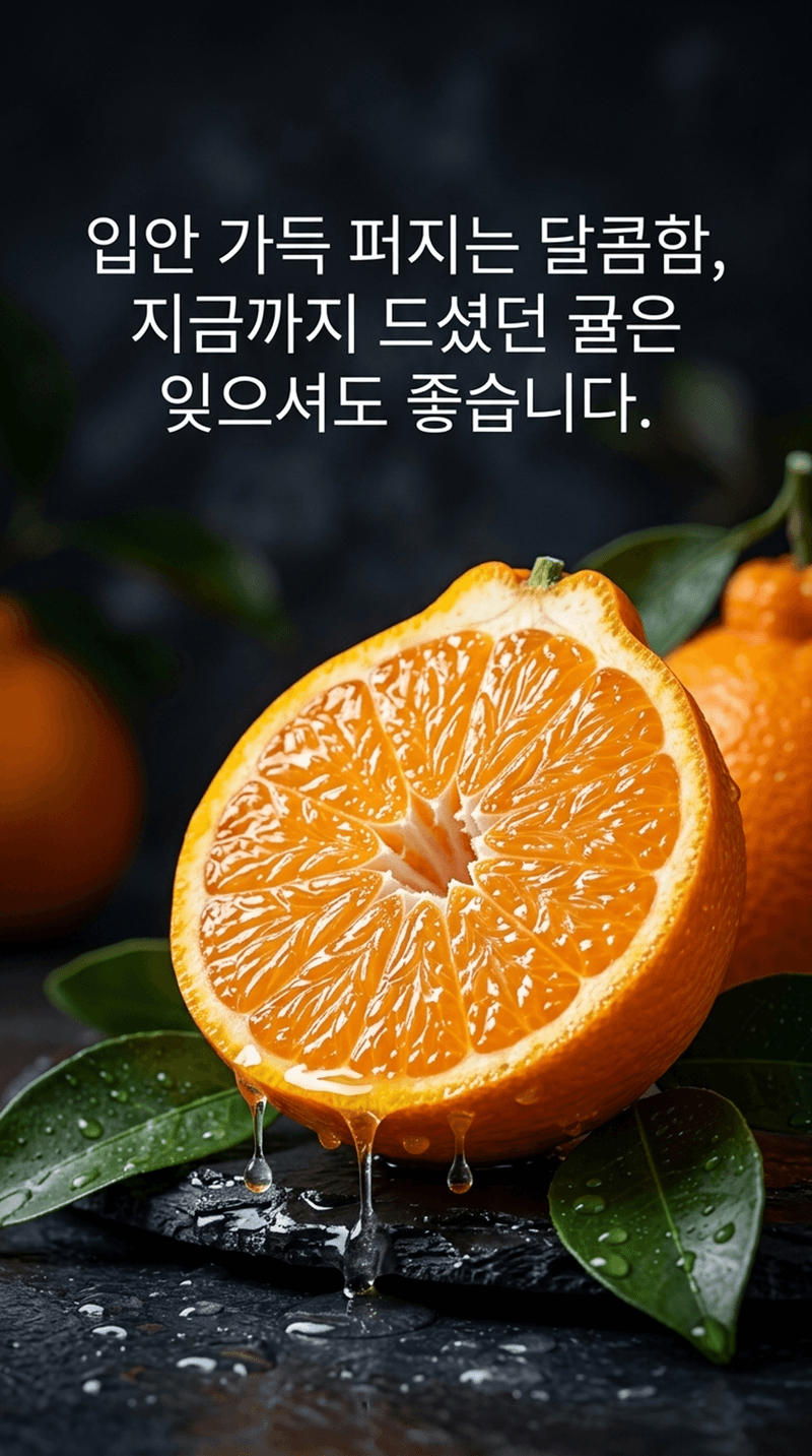 라이프브릿지님의 장터 판매 상품 [수라향 제주 신비향 설국향 고당도 감귤 제주감귤 하우스 랜덤과 귤 제주도 가정용] 첨부 사진