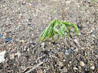 MSG0074님의 자유주제 · 자유게시판 작성글 사진