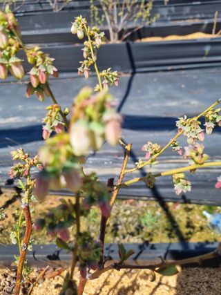 김동만님의 자유주제 · 자유게시판 작성글 사진