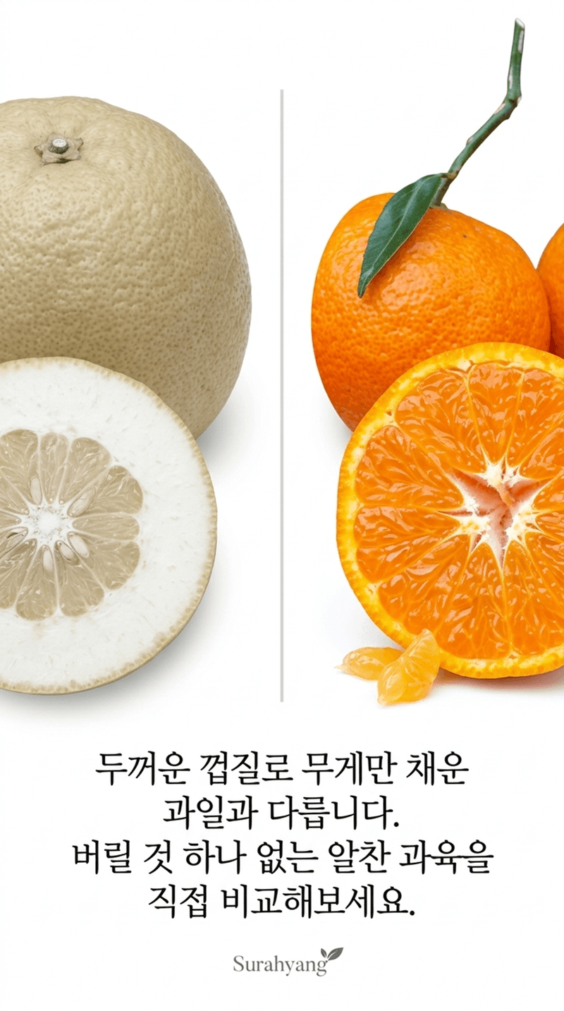 라이프브릿지님의 장터 판매 상품 [수라향 제주 신비향 설국향 고당도 감귤 제주감귤 하우스 랜덤과 귤 제주도 가정용] 첨부 사진