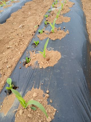 차민주님의 자유주제 · 자유게시판 작성글 사진