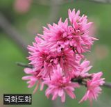 팜모닝 · 게시글 이미지