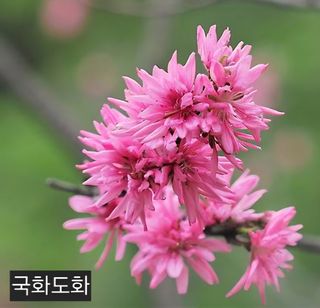 김재열님의 작성글 사진
