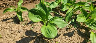 정진해님의 자유주제 · 자유게시판 작성글 사진