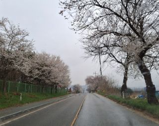 MSG0074님의 자유주제 · 자유게시판 작성글 사진