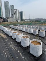 팜모닝 자유주제·자유게시판 게시글 이미지