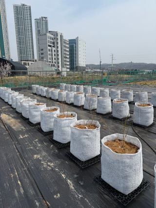 베리의정원님의 자유주제 · 자유게시판 작성글 사진