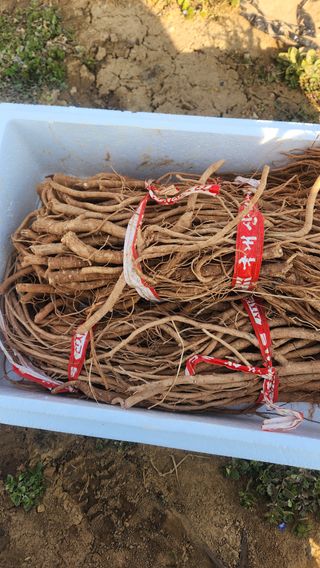 조한솔님의 자유주제 · 자유게시판 작성글 사진