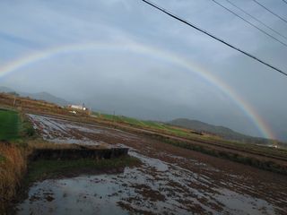 (땅끝해남)독수리봉님의 자유주제·자유게시판 작성글 사진