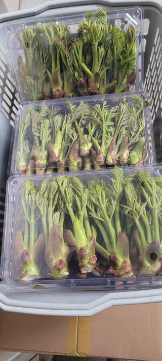 서녕영더기님의 자유주제·자유게시판 작성글 사진