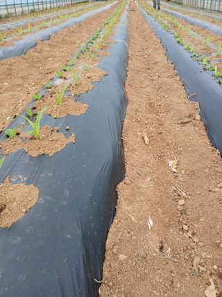 차민주님의 자유주제 · 자유게시판 작성글 사진