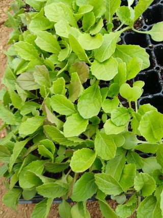 차민주님의 자유주제 · 자유게시판 작성글 사진