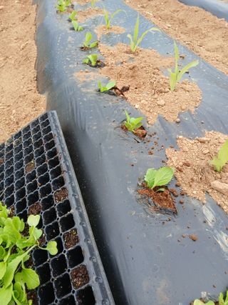 차민주님의 자유주제 · 자유게시판 작성글 사진