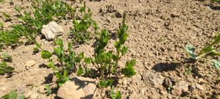 정진해님의 자유주제 · 자유게시판 작성글 사진