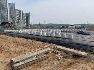 베리의정원님의 자유주제 · 자유게시판 작성글 사진