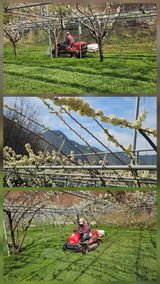 팜모닝 자유주제·자유게시판 게시글 이미지