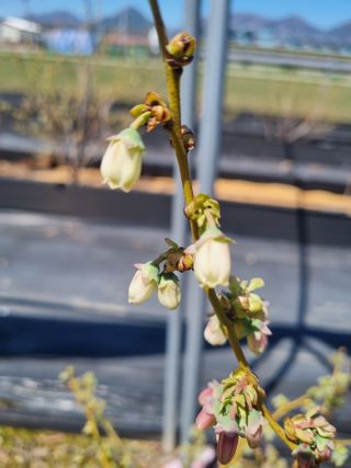 김동만님의 자유주제 · 자유게시판 작성글 사진