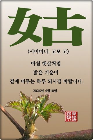 정진해님의 자유주제 · 자유게시판 작성글 사진
