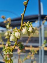 김동만님의 자유주제·자유게시판 작성글 사진