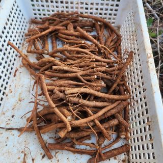 조한솔님의 자유주제 · 자유게시판 작성글 사진