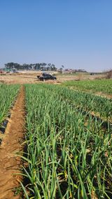 조한솔님의 자유주제·자유게시판 작성글 사진