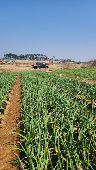 조한솔님의 자유주제 · 자유게시판 작성글 사진