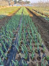 팜모닝 자유주제·자유게시판 게시글 이미지