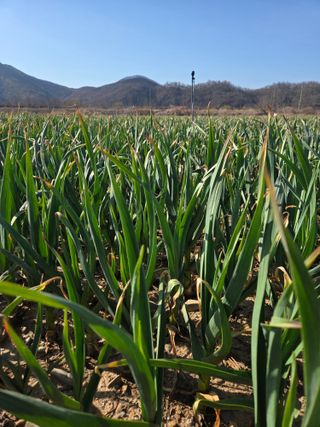 김태혁님의 자유주제 · 자유게시판 작성글 사진