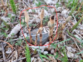 박진규님의 자유주제 · 자유게시판 작성글 사진