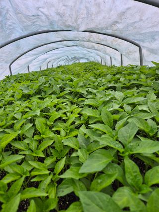 김영진(전남영광)님의 자유주제 · 자유게시판 작성글 사진