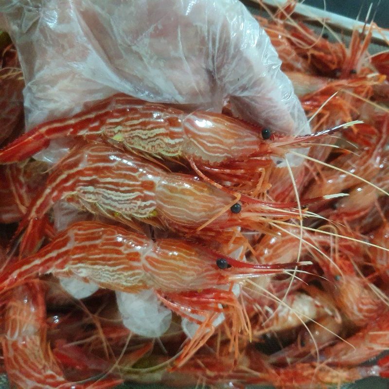 장터 상품 [활 독도새우] 썸네일