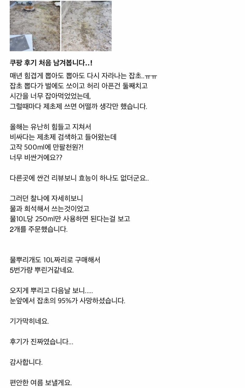 자재스토어님의 장터 판매 상품 [초주금 골드 (제초제 , 농약 아님) 잡초제거제 잔디 살포X] 첨부 사진