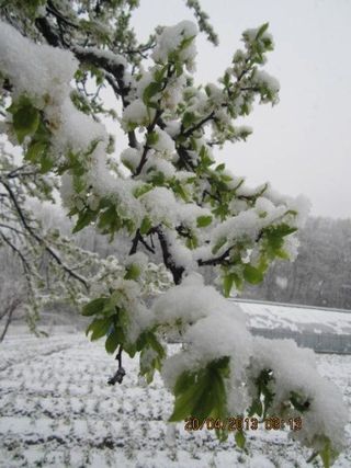 농민님의 자유주제 · 자유게시판 작성글 사진