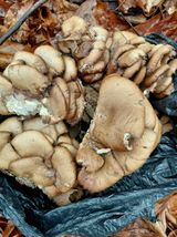 좋은인연원님의 자유주제·자유게시판 작성글 사진