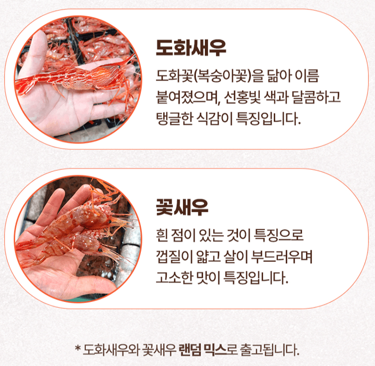 스피드번님의 장터 판매 상품 [활 독도새우] 첨부 사진