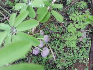 김민수산에서농사중님의 자유주제 · 자유게시판 작성글 사진