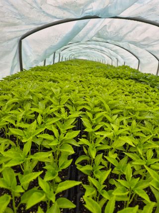 김영진(전남영광)님의 자유주제 · 자유게시판 작성글 사진