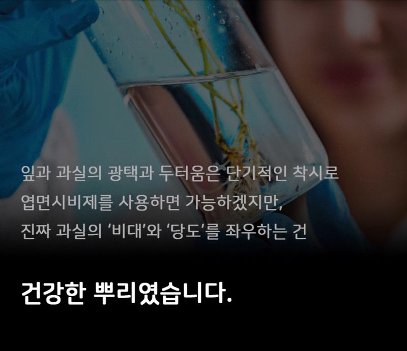 자재스토어님의 장터 판매 상품 [토양 미생물 삼총사 뿌리발근제 고추 칼슘 영양제 개량제 당도 비대 증가] 첨부 사진