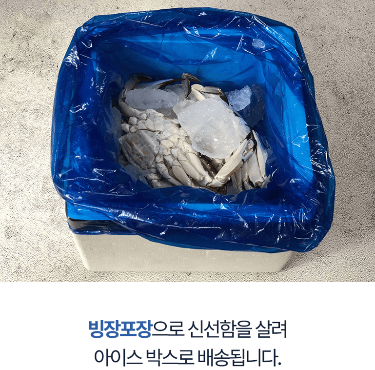 스피드번님의 장터 판매 상품 [국내산 활 암꽃게] 첨부 사진