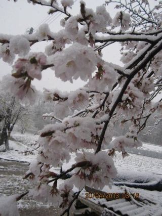 농민님의 자유주제 · 자유게시판 작성글 사진