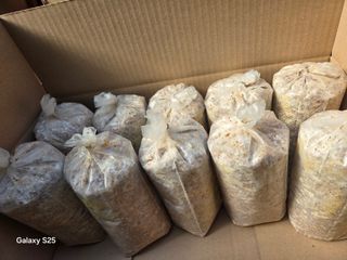 벼13991님의 자유주제 · 자유게시판 작성글 사진