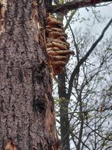 좋은인연원님의 자유주제·자유게시판 작성글 사진