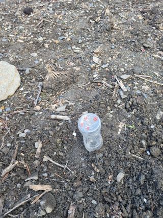 김용대님의 자유주제 · 자유게시판 작성글 사진